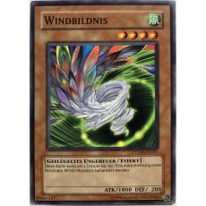 Windbildnis PTDN-DE041 Common