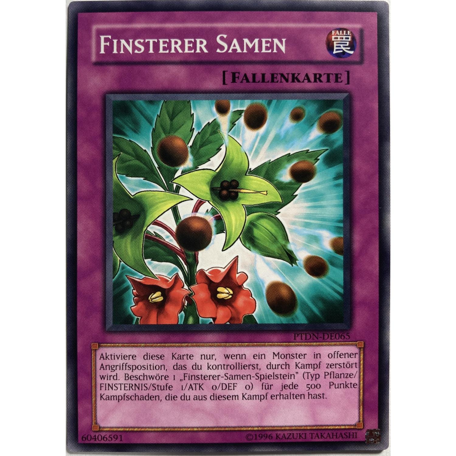 Finsterer Samen PTDN-DE065 Common