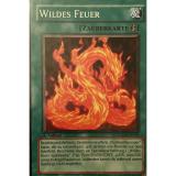 Wildes Feuer 1. Auflage