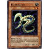 Bohrkäfer PSV-G078 Common Deutsch
